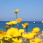 Verdemare In Relax Apartment *